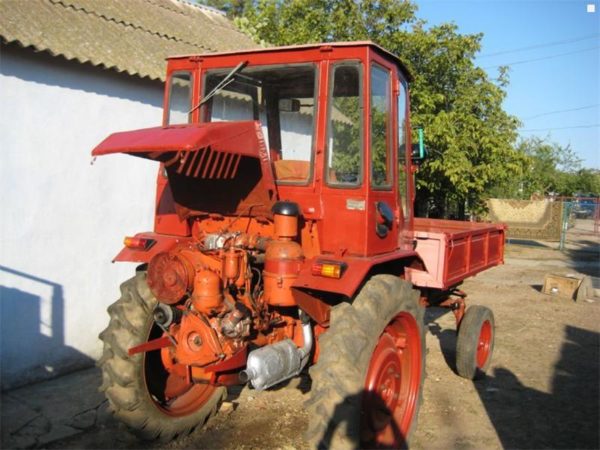 T16-2