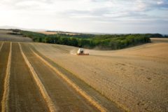 Техника CLAAS обеспечивает до 30% рентабельности