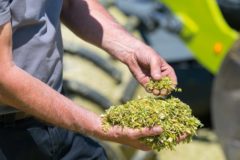 НА AGROS 2021 КОМПАНИЯ CLAAS ПРЕДСТАВИТ НОВЫЕ ДАННЫЕ ОБ ЭКОНОМИЧЕСКОЙ ЭФФЕКТИВНОСТИ ТЕХНОЛОГИИ SHREDLAGE®