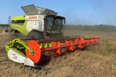 CLAAS: КОМБАЙН LEXION 6800 ПРОДЕМОНСТРИРОВАЛ СВОИ ВОЗМОЖНОСТИ В ПРИРОДНО-КЛИМАТИЧЕСКИХ УСЛОВИЯХ СИБИРИ И ЮГА РОССИИ