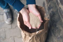 четыре культуры будущего с максимальной пищевой ценностью
